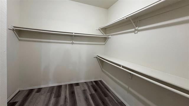 Building Photo - 1401 Summercrest Ln