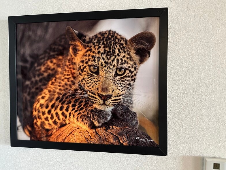 Building Photo - 7882 Sailboat Key Blvd S