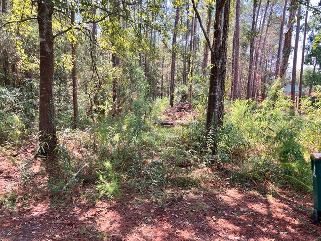 Building Photo - 164 Golden Meadow Dr