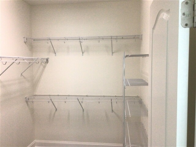 Building Photo - 4125 Becca Ln