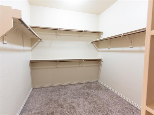 Building Photo - 2943 Ladoga Dr
