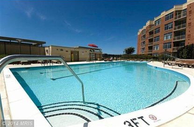 Pool - 3600 S Glebe Rd
