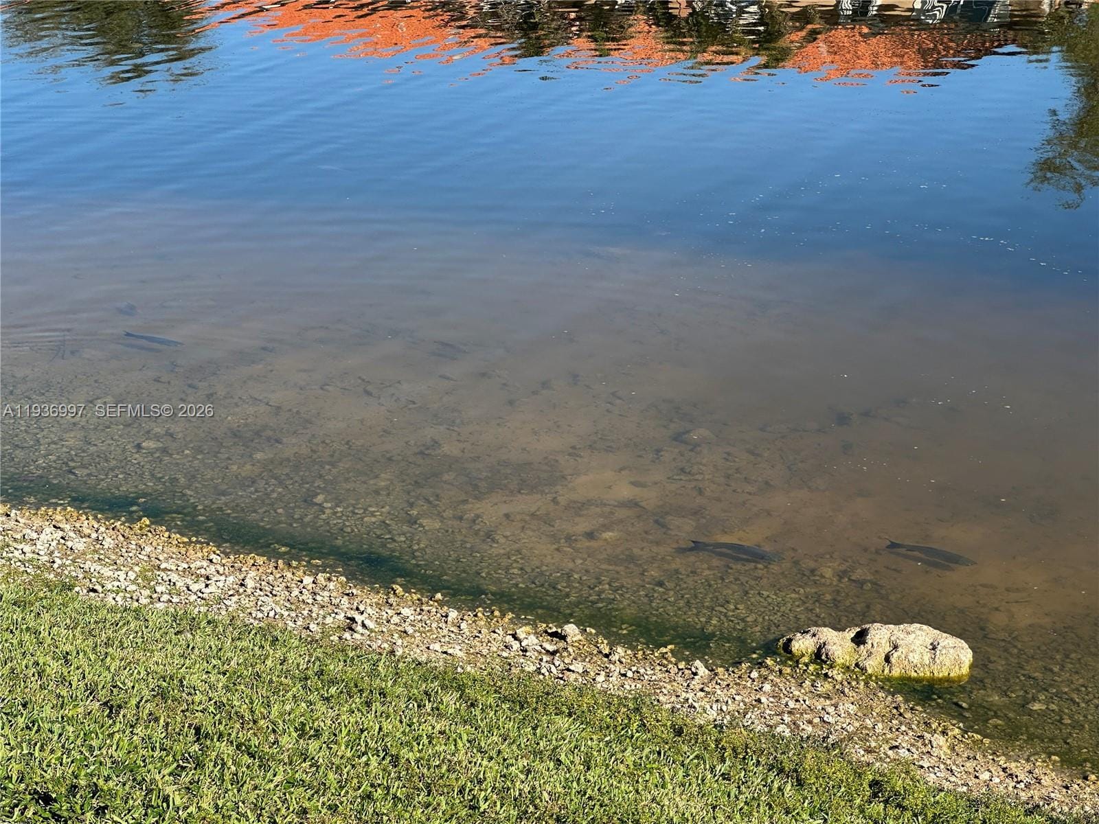 Building Photo - 15313 SW 31st Ter