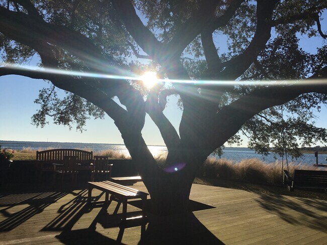 Building Photo - 1473 Indian St