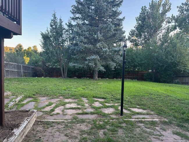 Building Photo - Cute Castle Rock Home