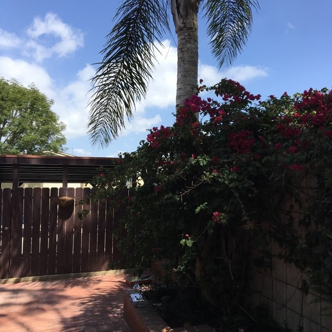 Building Photo - 3721 Corinth Ave