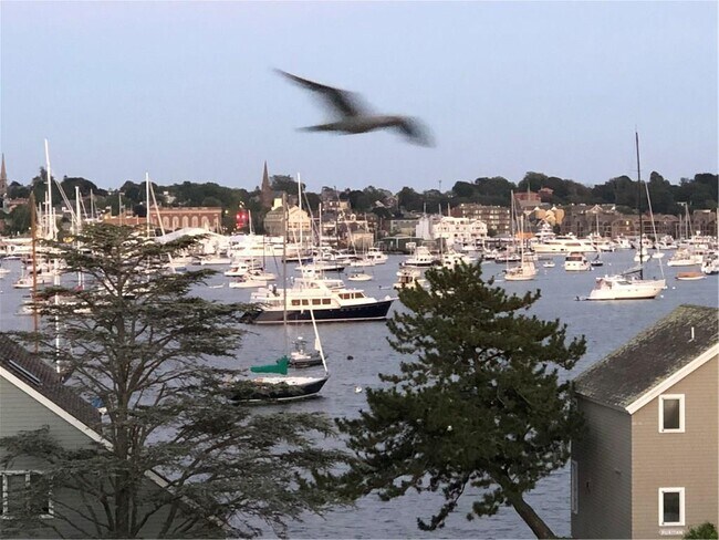 Building Photo - 1316 Capella S