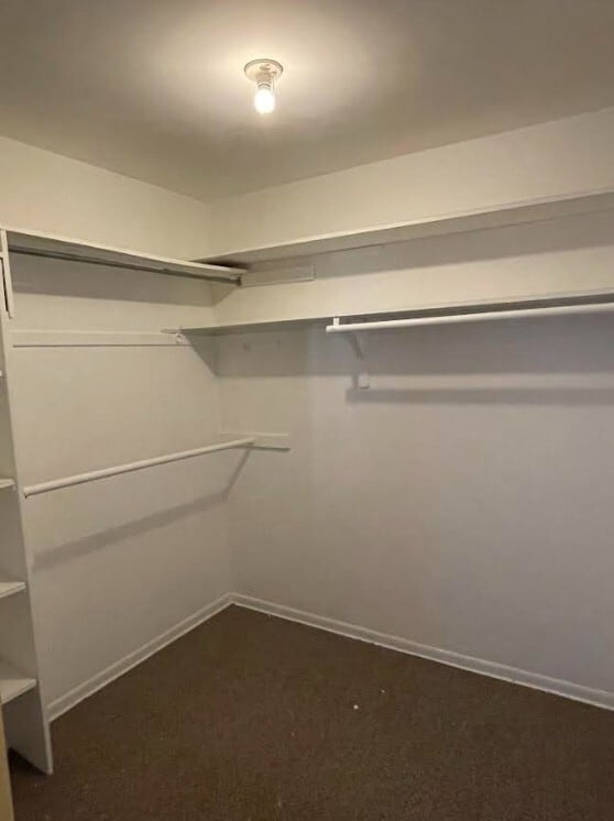 Building Photo - 539 W Stratford Pl