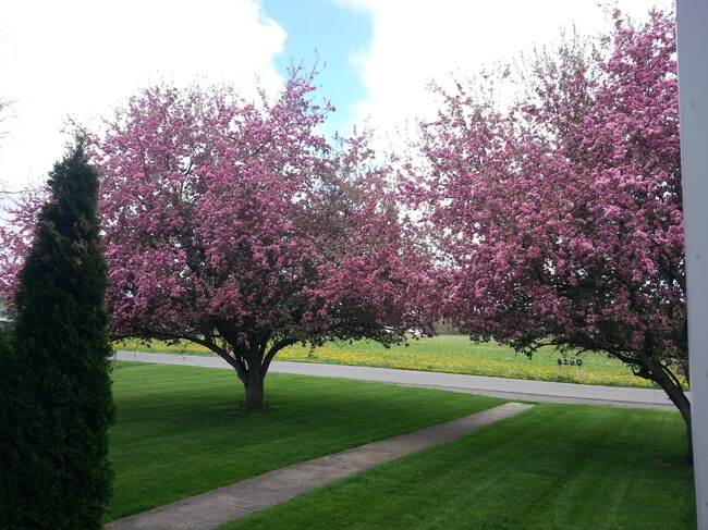 Springtime view - 200 Carpenter Rd