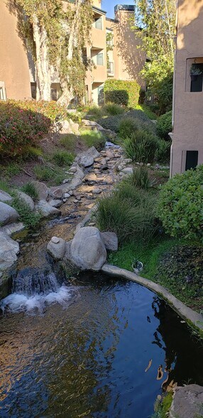 Creek - 9721 Mesa Springs Way
