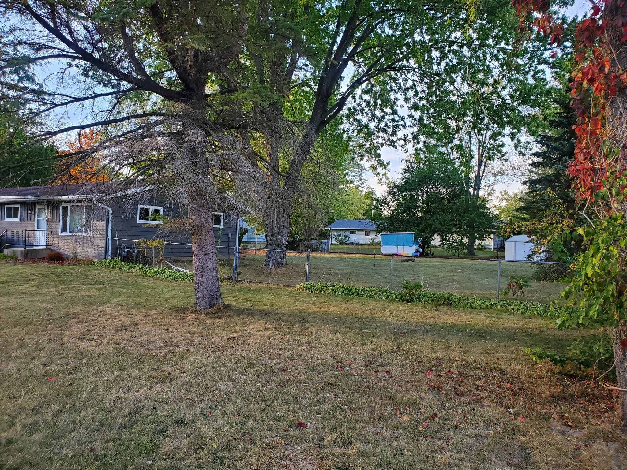 View of back yard from road. - 863 E Elmwood Ave