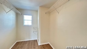 Building Photo - 8818 Summer Trl St