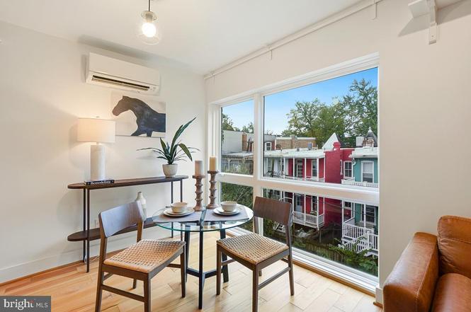 Large window with southern exposure - 1514 Newton St NW