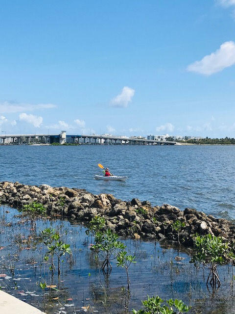 Building Photo - 301 S Palmway