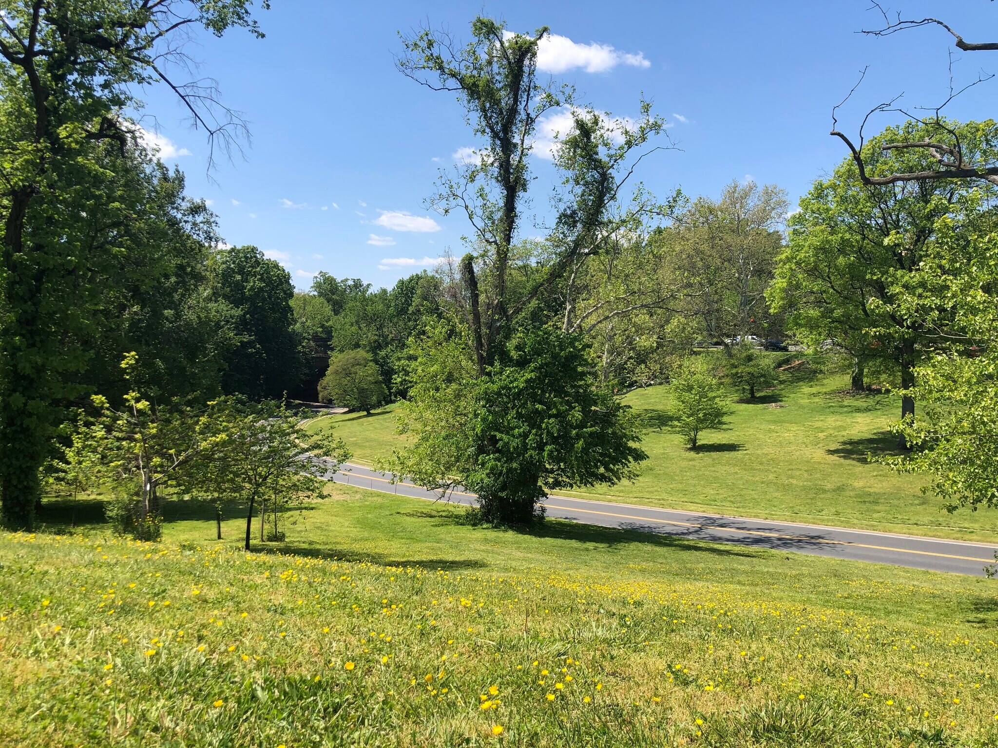 Building Photo - 3902 14th St NW