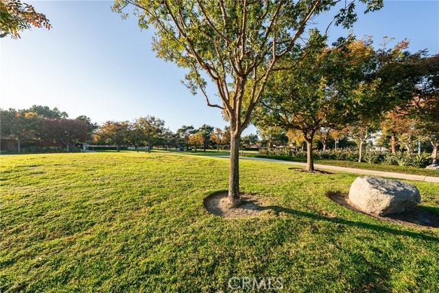 Building Photo - 3 Almador