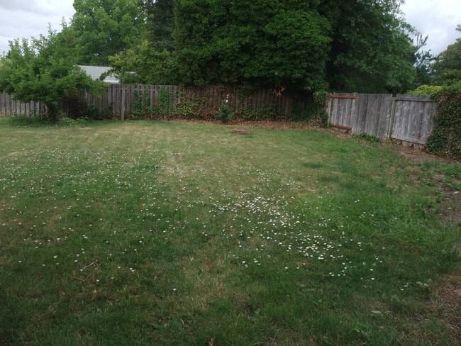 Building Photo - Adorable Little House Just A Few Blocks From The Campus