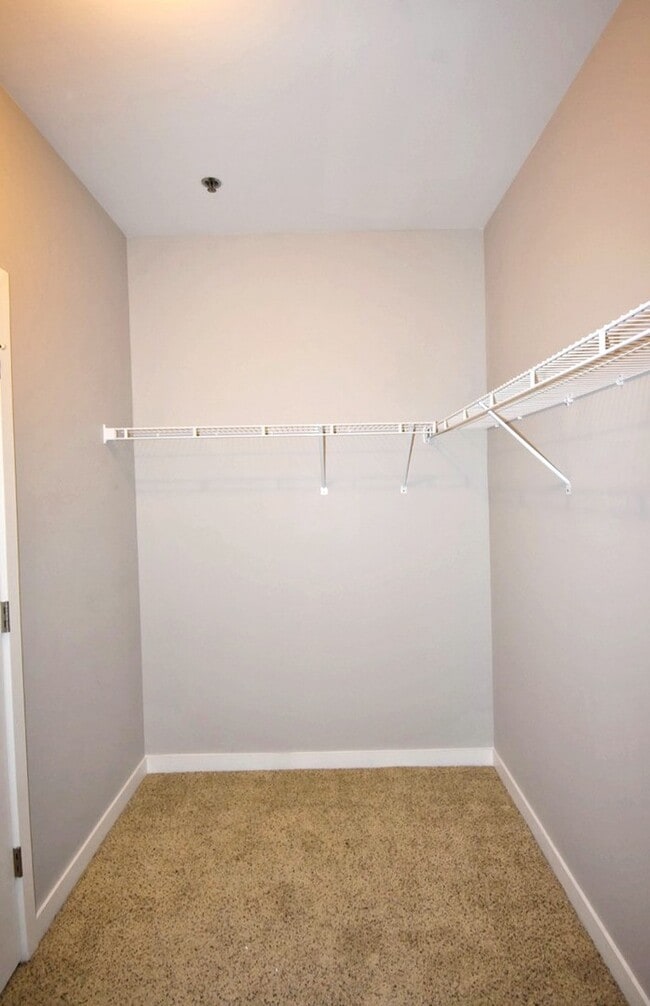 Building Photo - 1118 Litton Ave