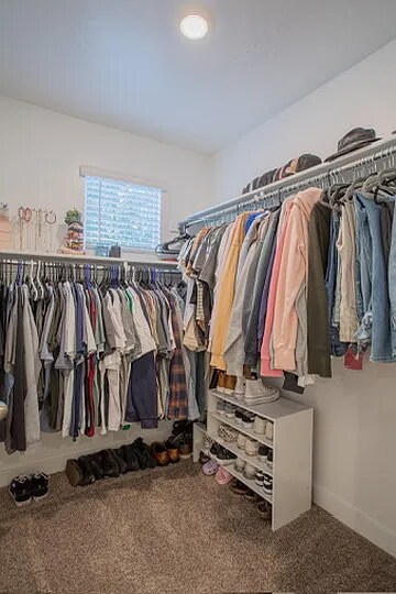 Building Photo - 902 Canvasback Dr