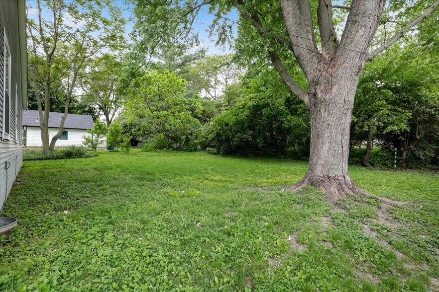 Backyard (unfenced) - 1001 N Coler Ave