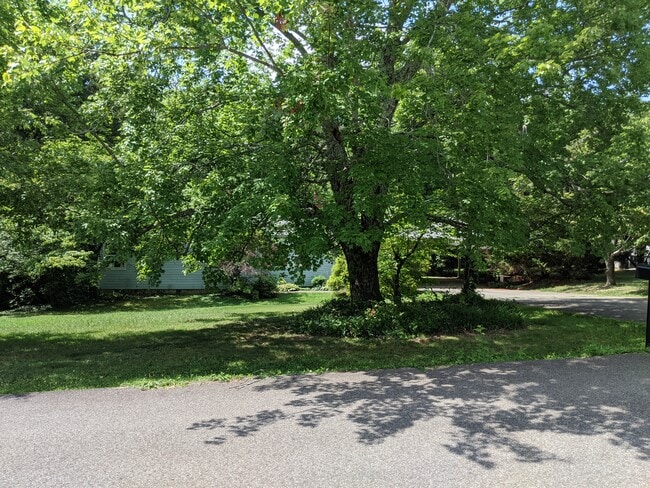 Building Photo - 3812 Thrall Dr