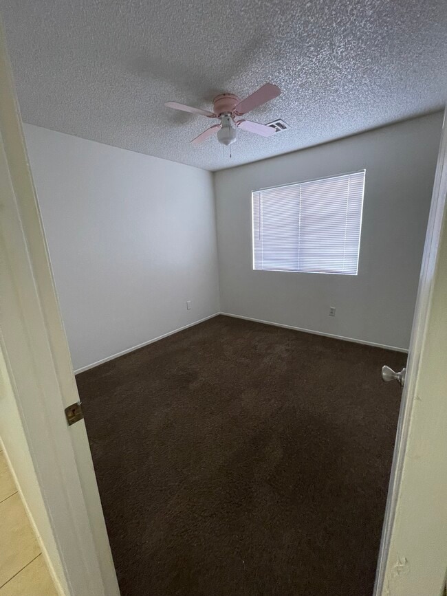 Building Photo - 3631 San Jacinto Ave