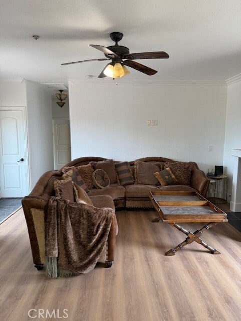 Building Photo - 1741 S Vallecito Dr