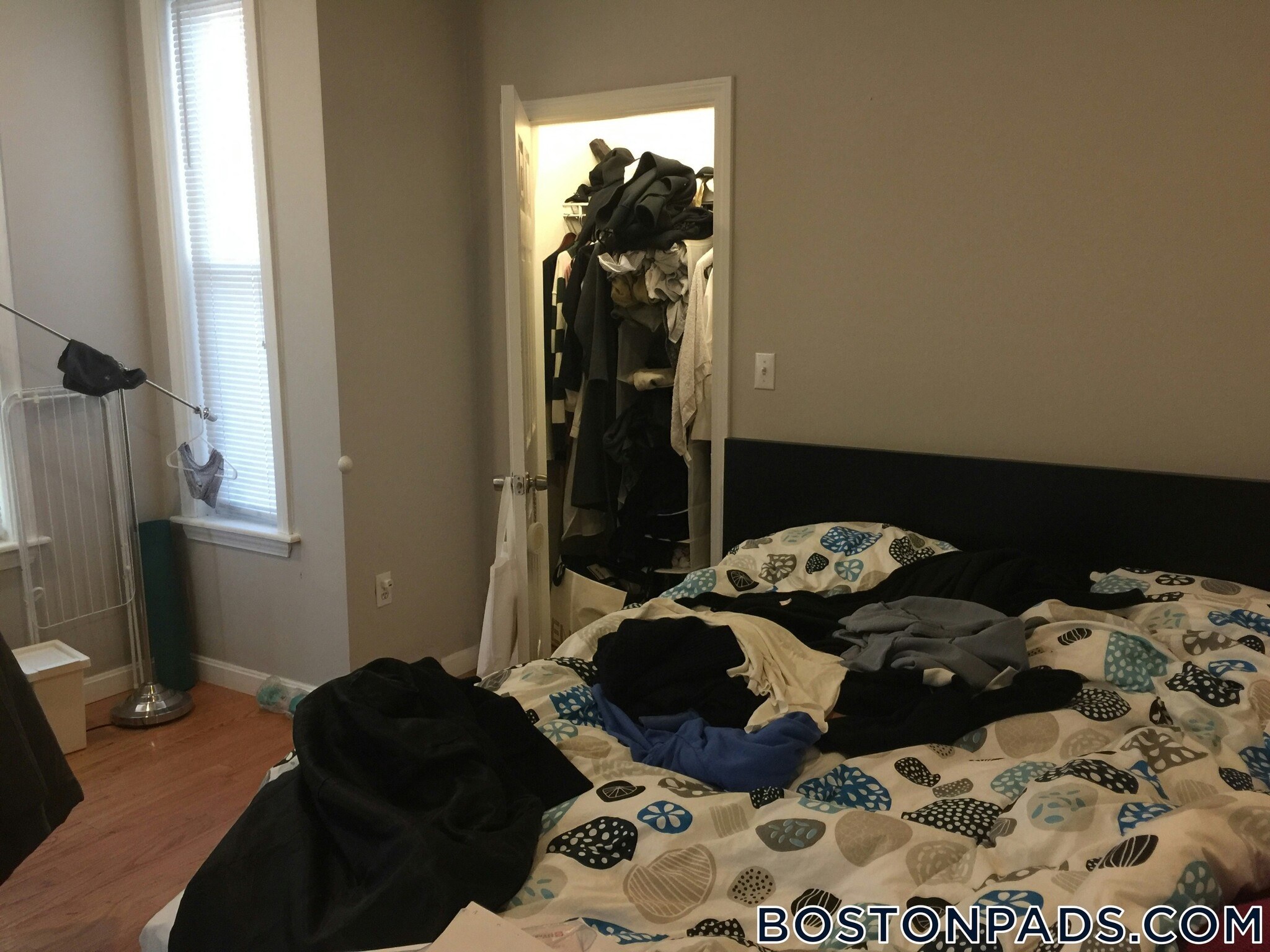 Building Photo - 45 Allston St