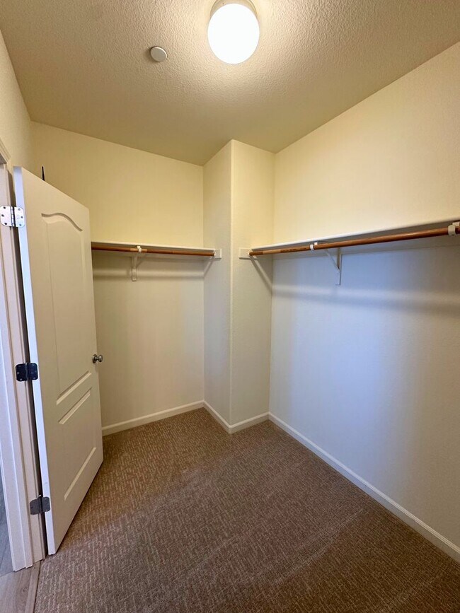 Building Photo - Stunning 4 Bedroom, 3 Bath Questa Home