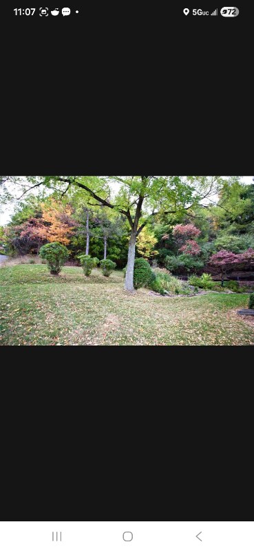 Building Photo - 50 La Grange St