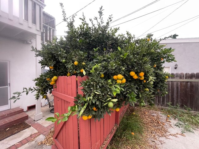 Building Photo - 1131 E Whiting Ave