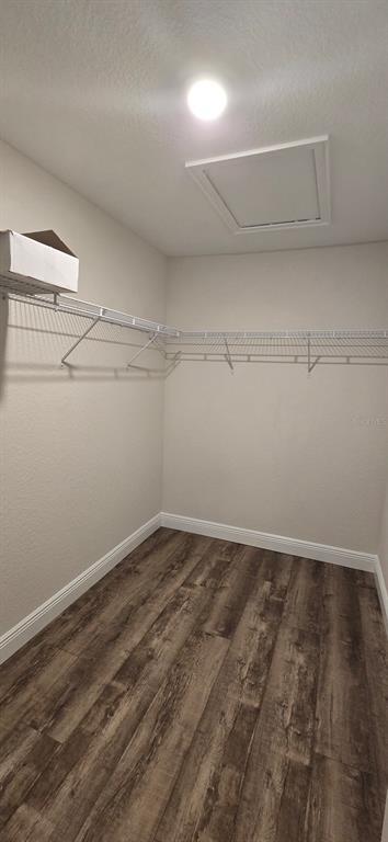 Building Photo - 25 Pecan Drive Pass