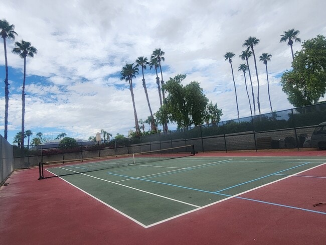 Tennis Court - 41785 Largo