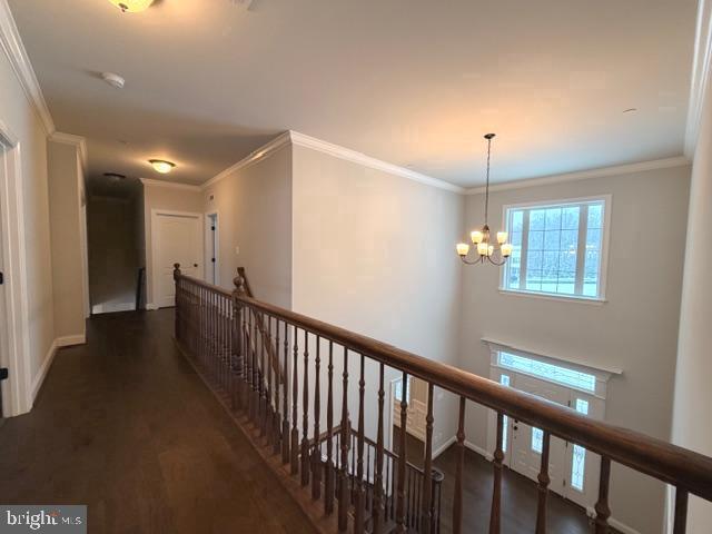 Building Photo - 1461 Carries Ct