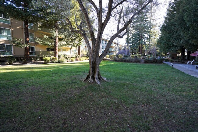 Building Photo - Beautifully Updated Condo in Great Mountai...