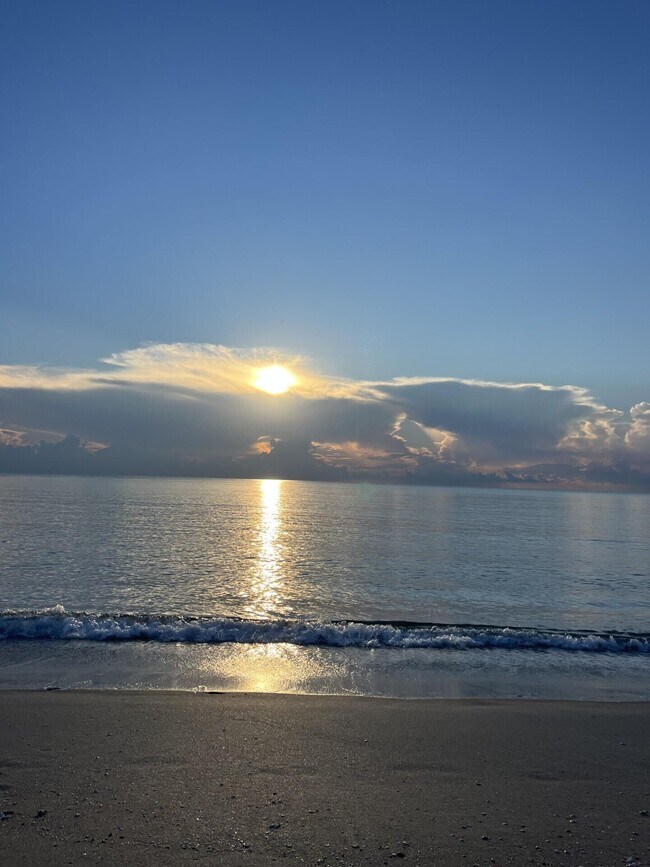 Building Photo - 2871 N Ocean Blvd