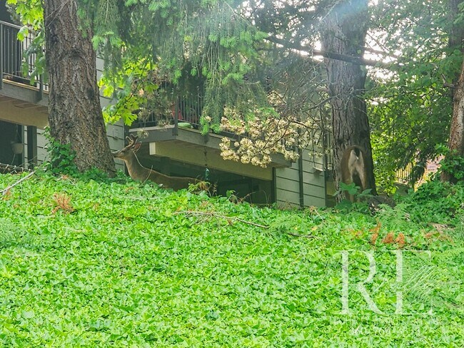 Building Photo - Upstairs Condo at The Narrows – Pool, Clubhouse & Woodland Views!