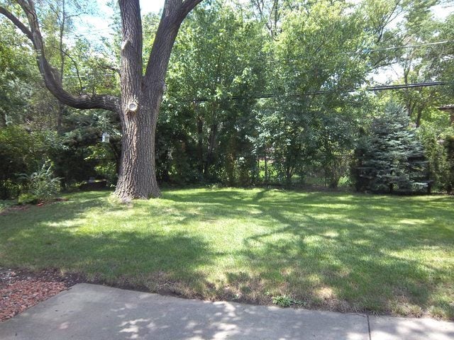 Building Photo - 393 Huntington Ln