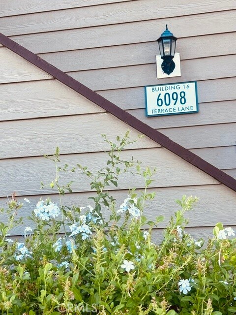 Building Photo - 6098 Terrace Ln