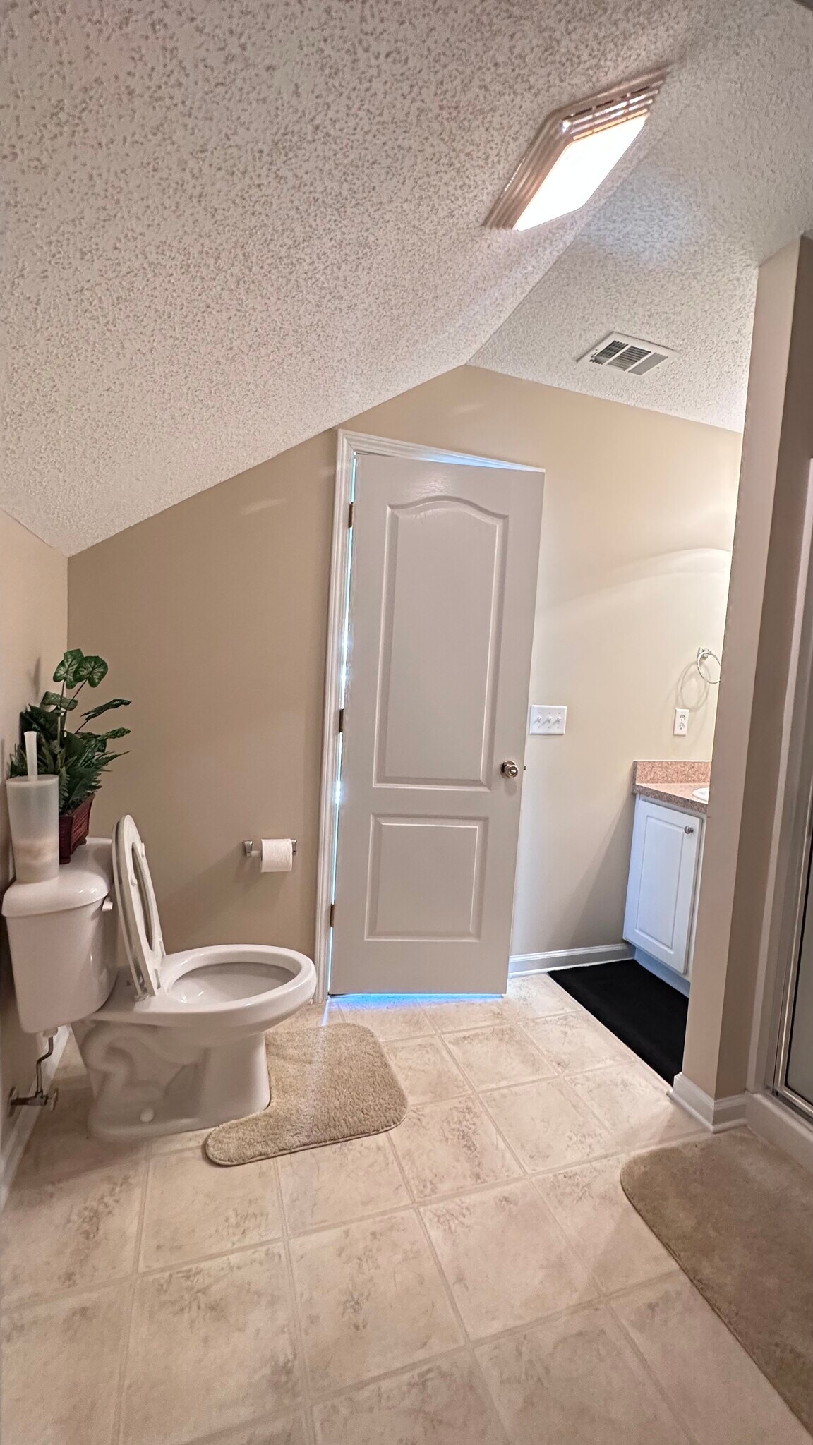 Bonus room bath - 145 White Dogwood Ln