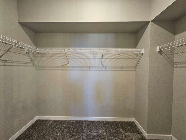 Building Photo - 3618 Maldives Dr