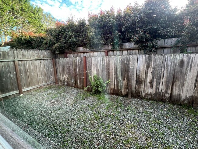 Building Photo - LSSTE715