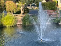 Building Photo - 444 Whispering Pines Dr