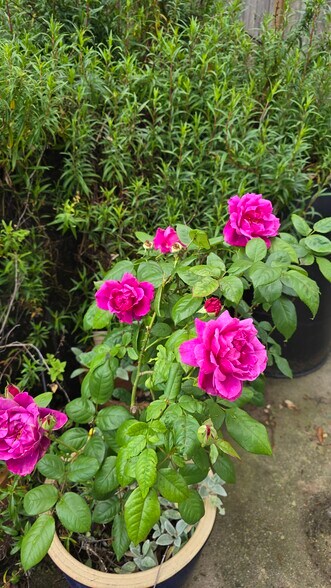 Building Photo - 5913 Amend Rd