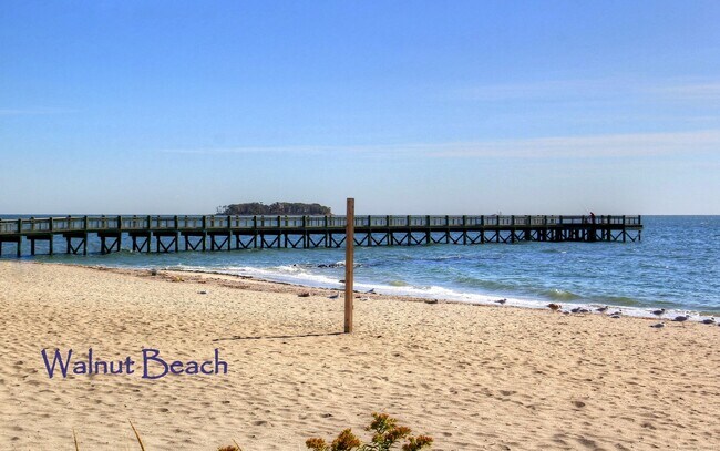 Building Photo - 23 Shea Ave