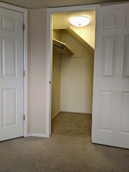 Basement Bedroom Closet-1 - 6803 Autumn Ridge Dr