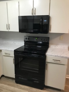 New appliances in remodels - Aspen Park