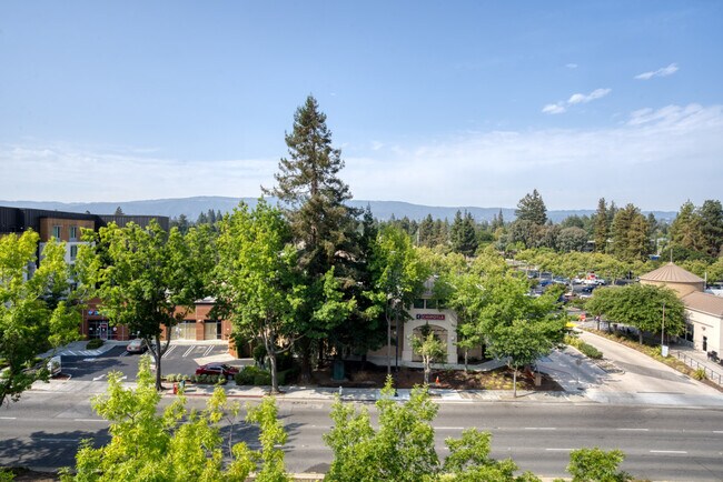 Building Photo - 1616 El Camino Real
