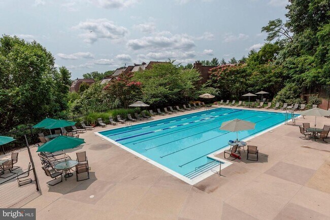 Building Photo - 3911 Ivy Terrace Ct NW