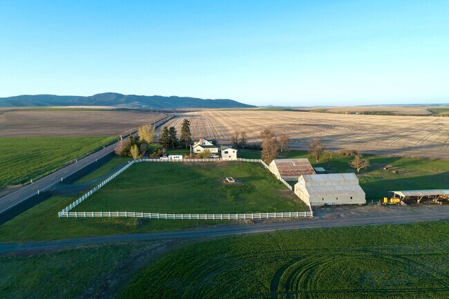 Building Photo - 35774 Waha Rd